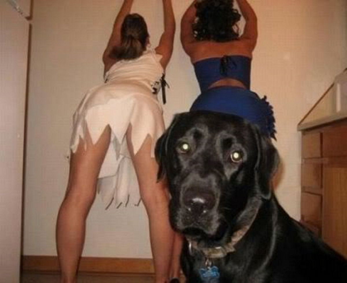 Women Having Sex With A Dog Ep Women Having Sex With A Dog Ep