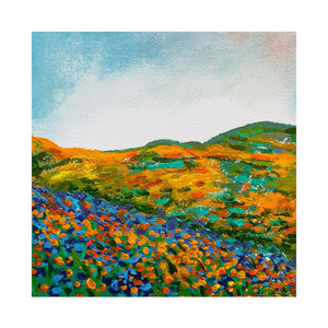 Psychic Poppies LP cover