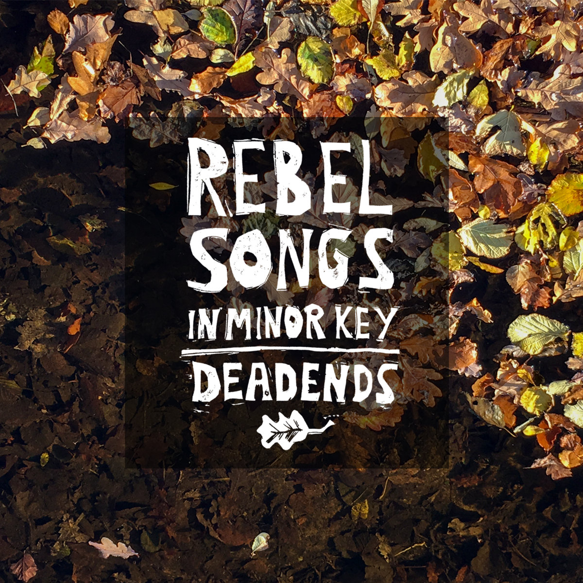 Rebel Songs In Minor Key | Deadends