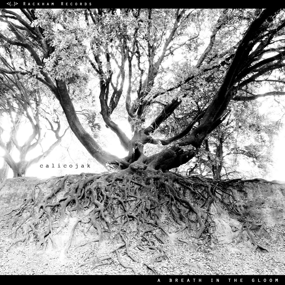 A breath in the gloom cover