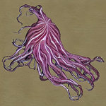 satoshi iwashita - Squid / Yield EP