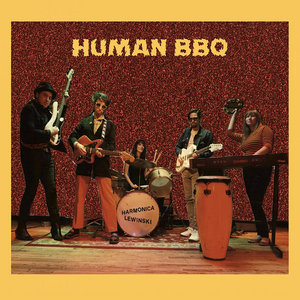 Human BBQ cover