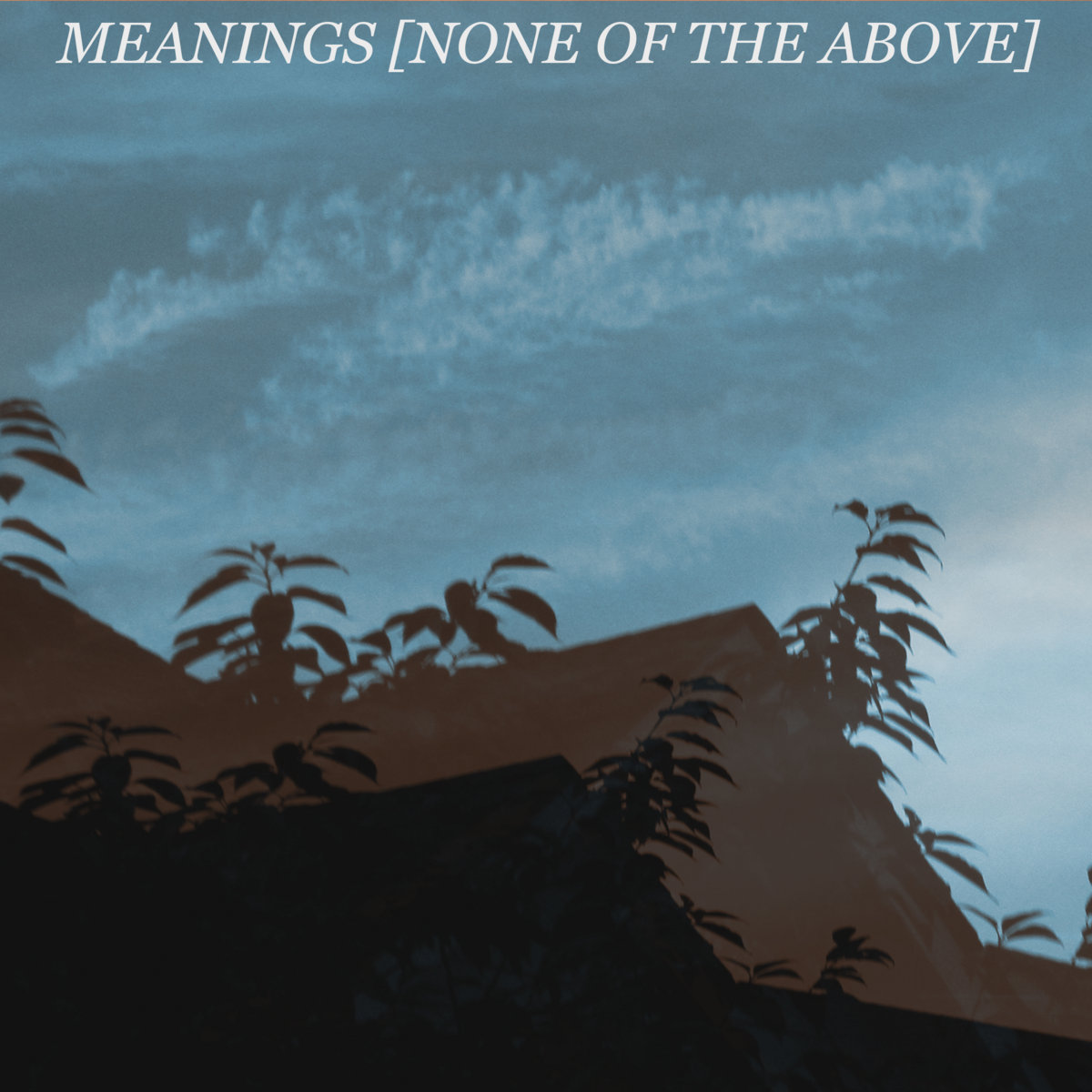 [none of the above] | meanings
