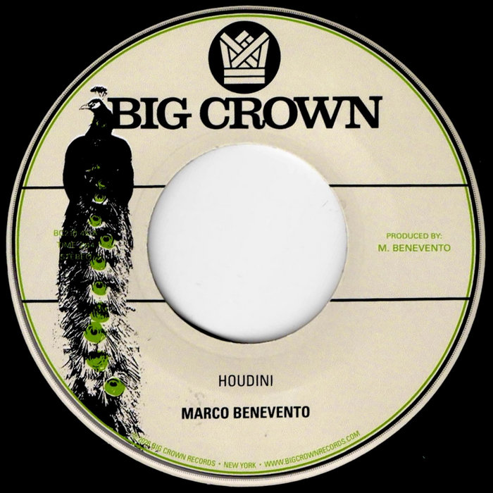 Pochette de Houdini b/w Miss Neptune feat. Lizzie Steiner par Marco Benevento