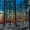 ondt-blod.bandcamp.com
