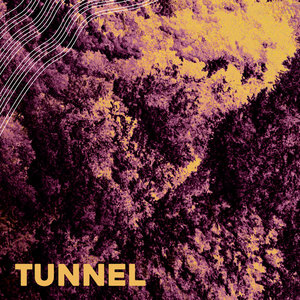 Tunnel cover