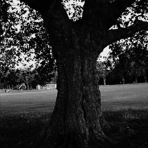 A New Place 2 Drown (Instrumentals)Archy Marshall & King Krule cover