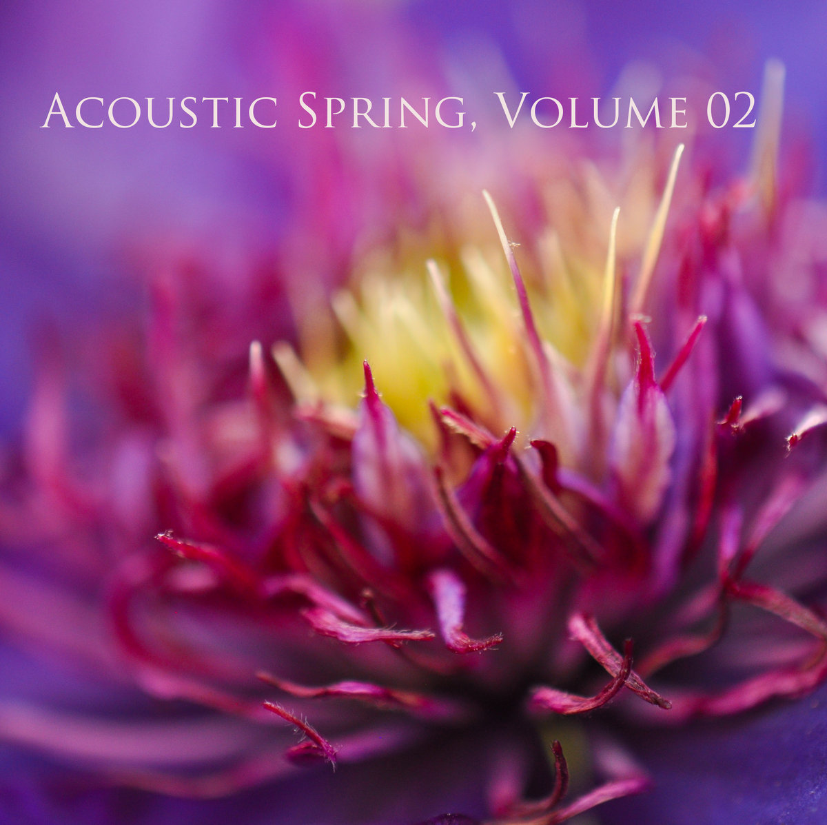 Acoustic Spring, Volume 02 | Jamie McMenamy