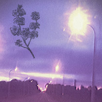 Flowers Fade cover art