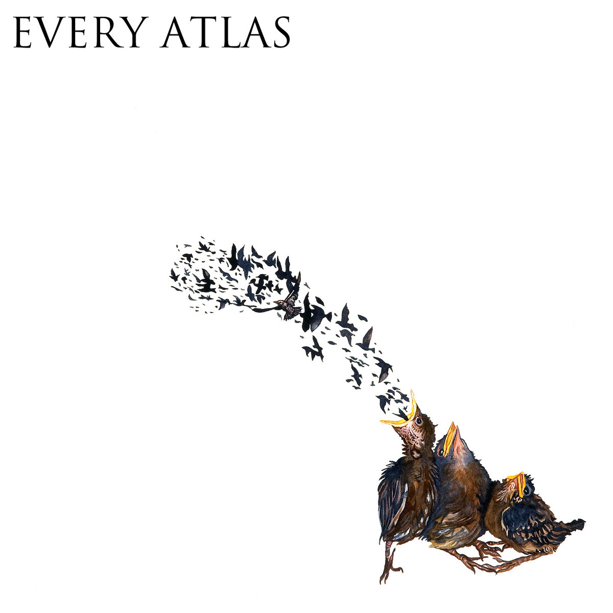 Every Atlas | Every Atlas, image size:1200x1200
