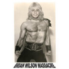 The Brian Wilson Massacre