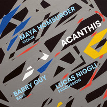 Maya Homburger, Barry Guy, Lucas Niggli — Acanthis
