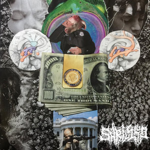 S/T cover