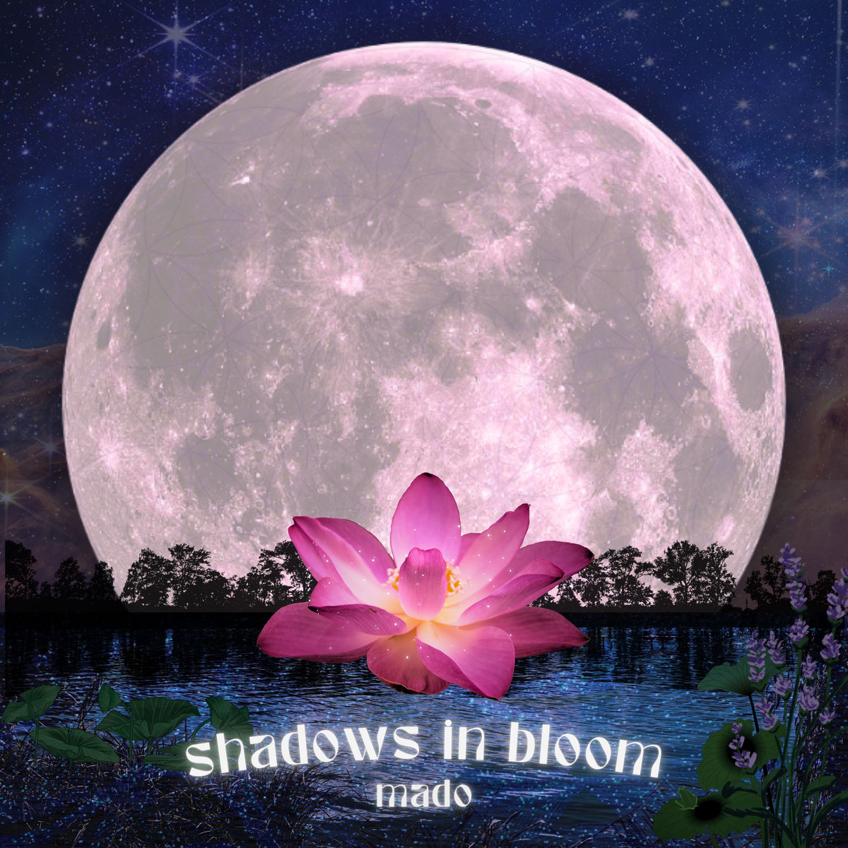shadows in bloom EP mado