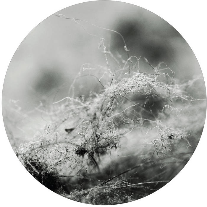 Dust (art LP) | HERMAN KOLGEN | ORAL_records