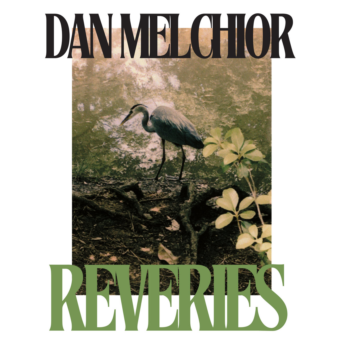 洋楽 REVERIE - REVERIE LP Lolo Zouai - Reverie | Rough Trade - (LP - Smoke Grey, LP - Forest