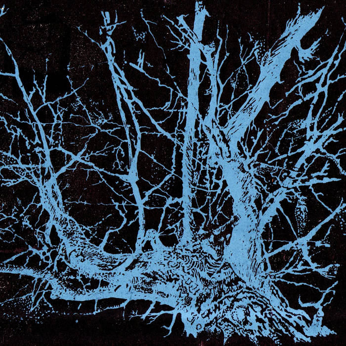 Celestial Beings
von Kyle Madsen Trio