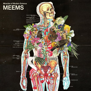 MEEMS [Instrumental] cover