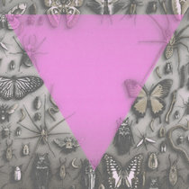 Death Goals - Survival Is An Act Of Defiance