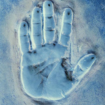 Tiny Hands cover art