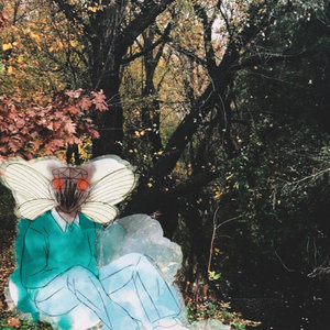 cicadahead — cicada song