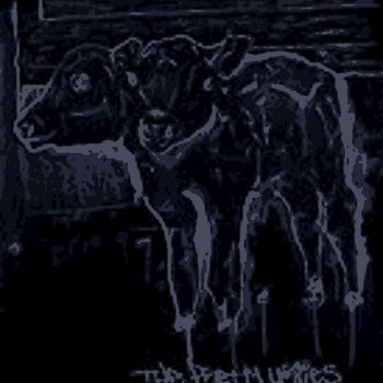 Music | Cactus Dawn