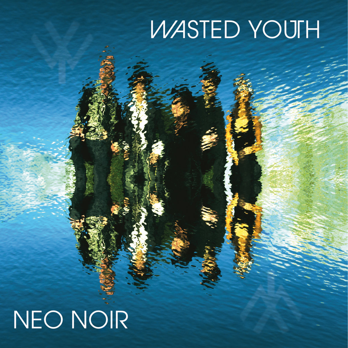 Wasted Youth ブラックラグ WY25GD007 F NEO NOIR | WASTED YOUTH