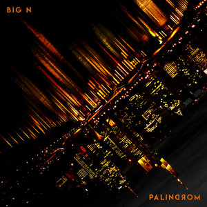 Palindrom cover