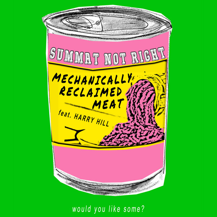 Mechanically Reclaimed Meat (feat. Harry Hill), by Summat Not Right