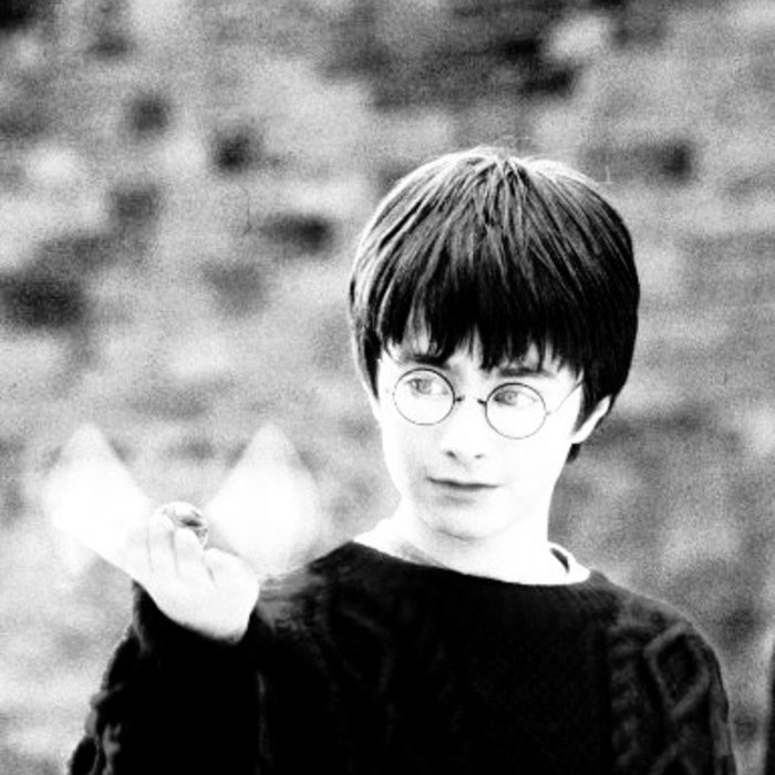 from the cupboard under the stairs No Muggles Allowed