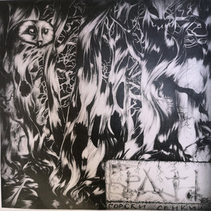 Forest Shadows 2013 cover