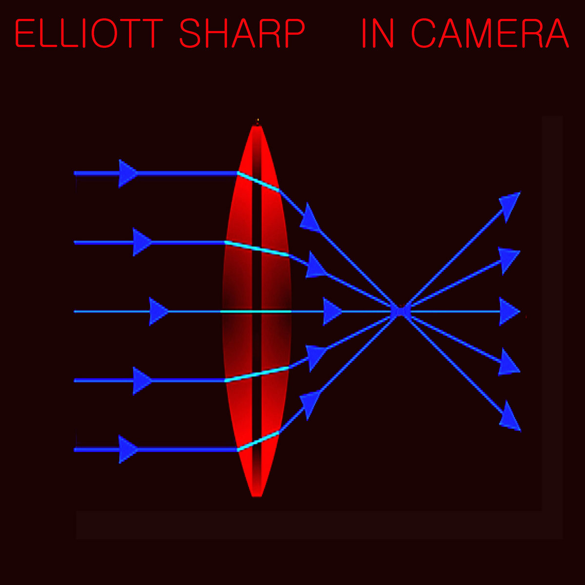 In Camera Elliott Sharp