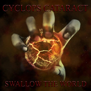Swallow the world cover