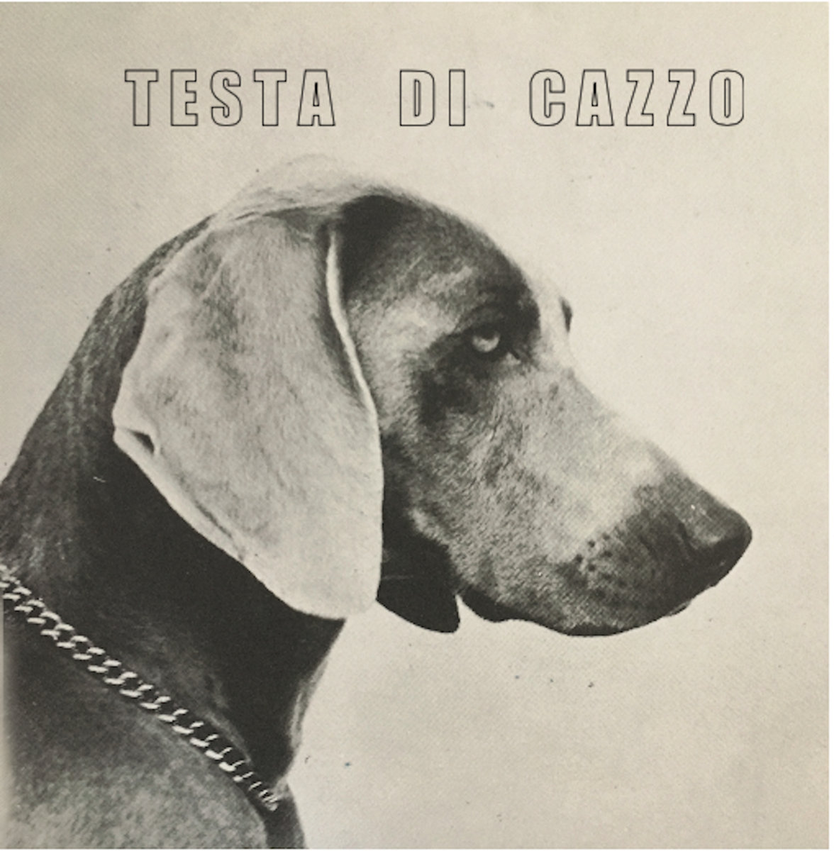 Good Clean Living EP | Testa Di Cazzo