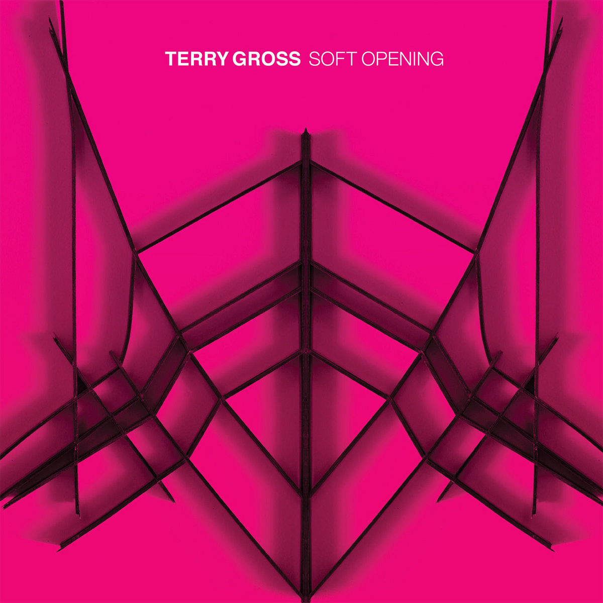 Cover of Terry Gross - Soft Opening