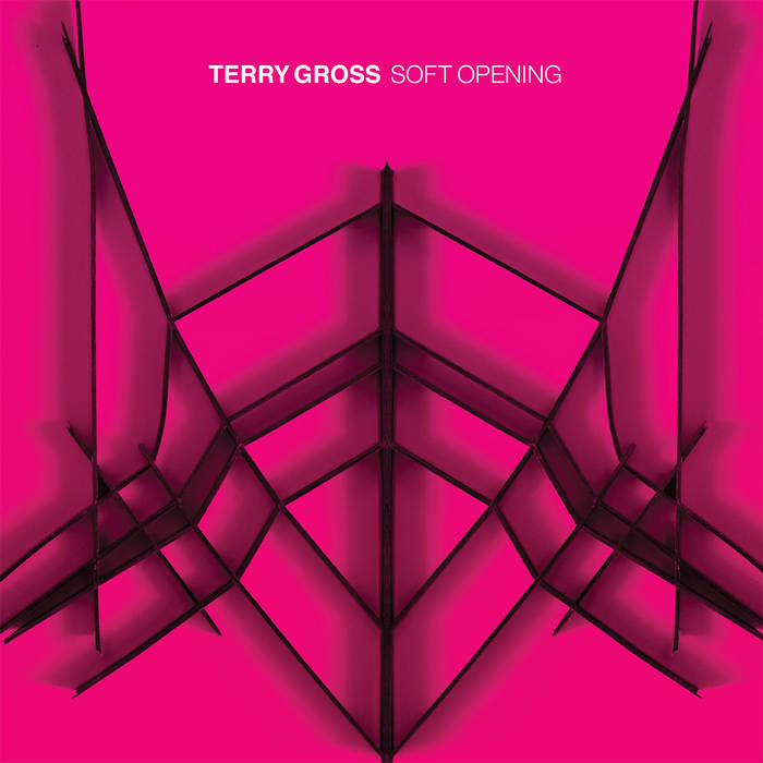 Soft Opening | Terry Gross