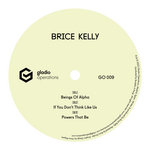 Brice Kelly - If You Don't Think Like Us