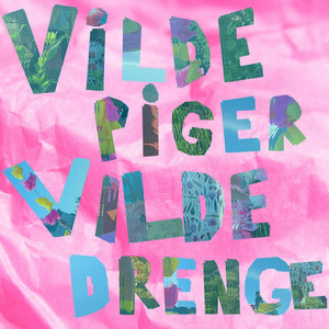 Vilde Piger Vilde Drenge cover