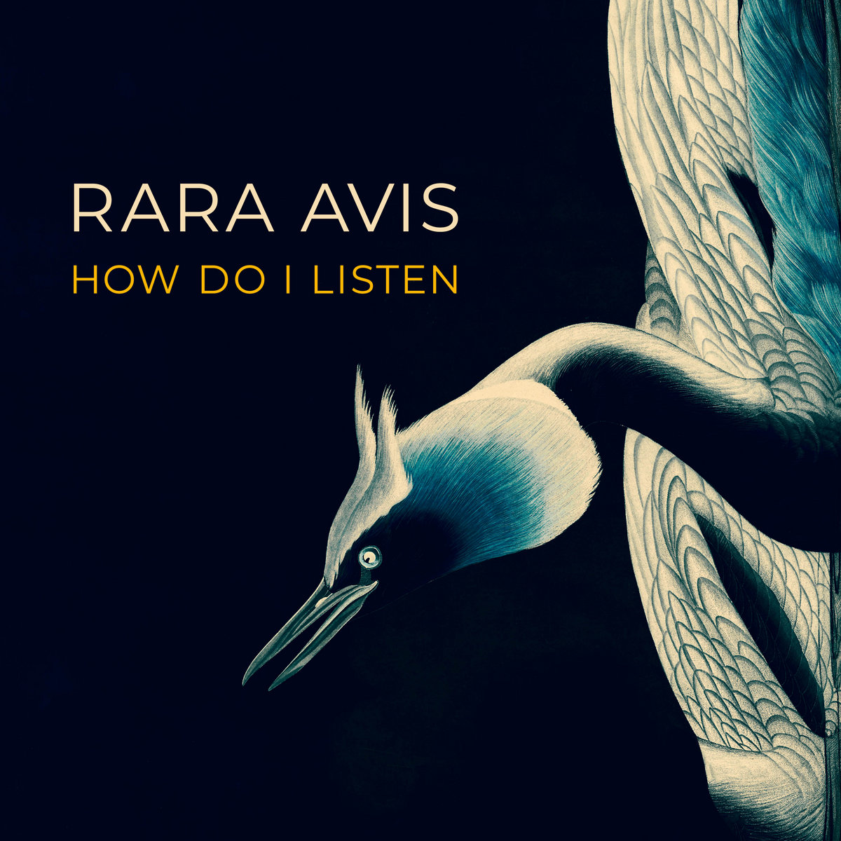 How Do I Listen Jodi Gilbert Voice Tineke De Jong Violin Albert Van Veenendaal Piano Rara Avis