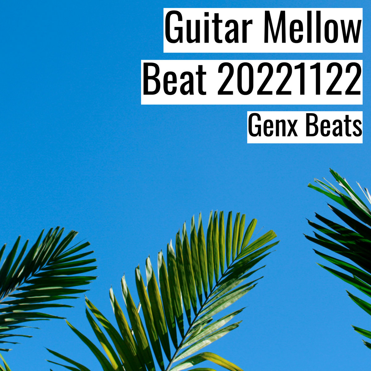 Guitar Mellow Beat 20221122 [ギター・メロウ・ビート 20221122
