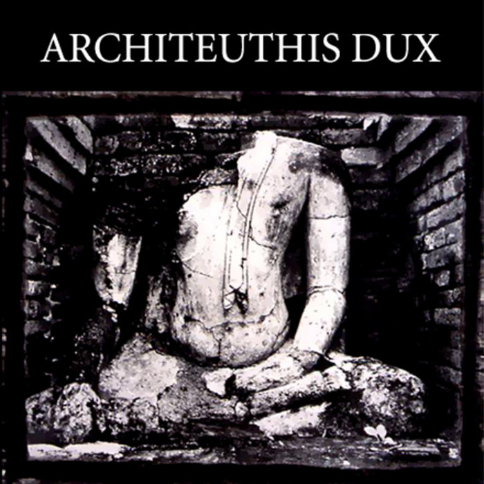 Architeuthis Dux | Architeuthis Dux
