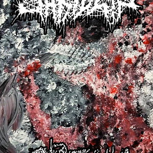 Split w/ Speak cover