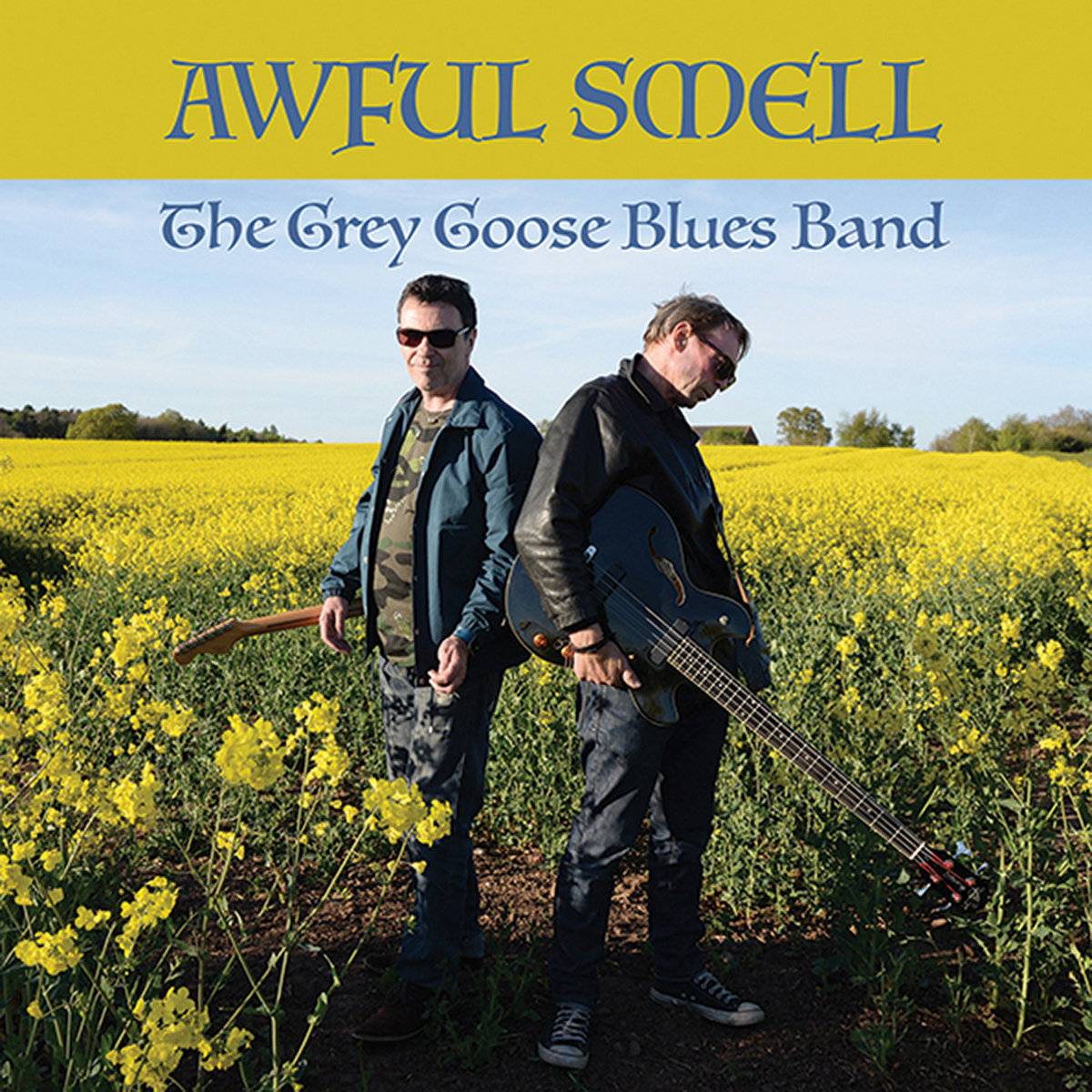 Awful Smell The Grey Goose Blues Band