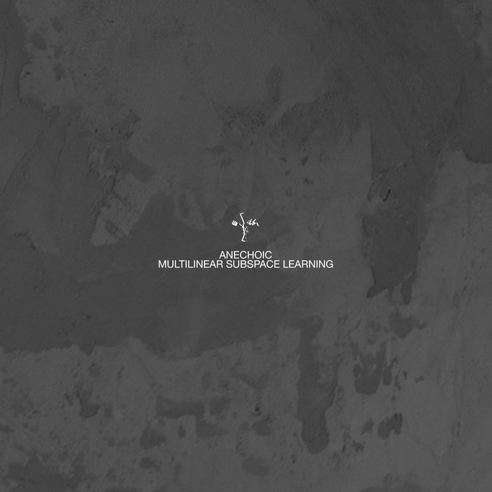 Multilinear Subspace Learning Anechoic Credo