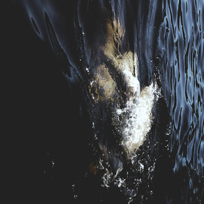 Fawn_limbs_nadja Vestigial_spectra