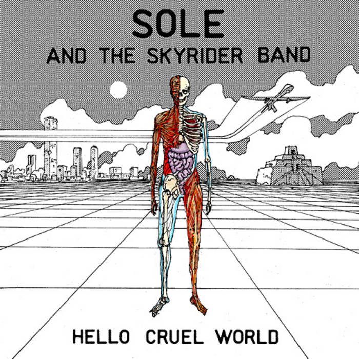 ☆sole/ Bottle of Humans (anticon.)/2枚組LP 中古 sole