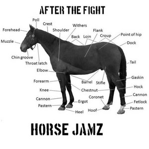 After the Fight — HORSE JAMZ