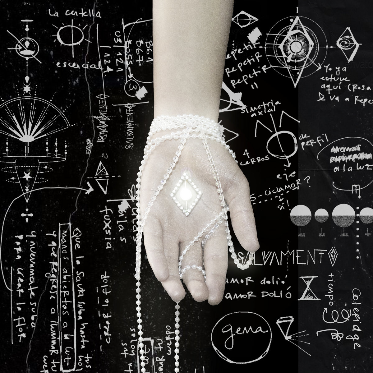 La Flor de Coleridge Salvamento SALVAMENTO