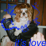 Safford - It's Love