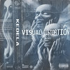 VISUAL DISTORTION